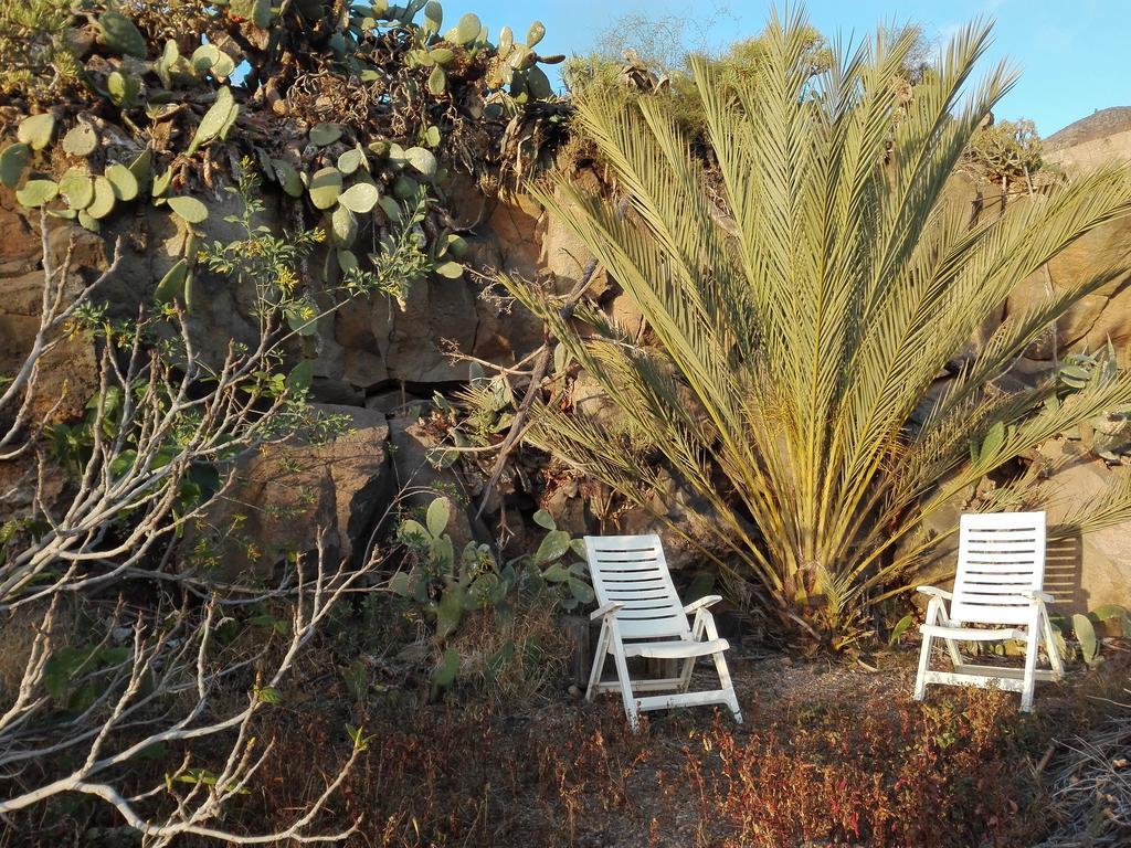 Finca Patio Canario Arona  Exterior photo